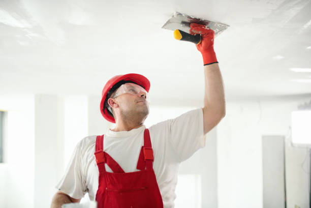 Best Fire-Damaged Drywall Repair  in Canterwood, WA